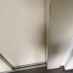 清春  訴え。の画像