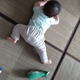 ☆成長記録〜生後7か月〜☆と新年度の画像