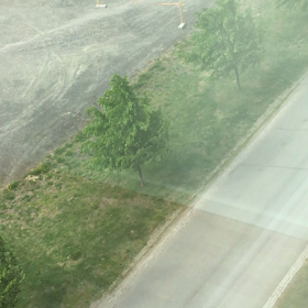 本日強風なりの画像