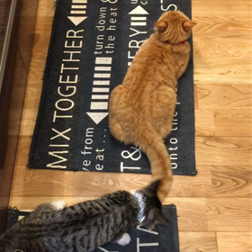 kinaと海③の画像