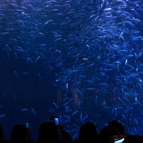 トルネード（リアルタイム日記）の画像