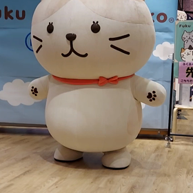 イオンレイクタウン ふくふくにゃんこ撮影会～動画編～の画像