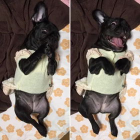 ハロウィンを楽しむ⑥の画像