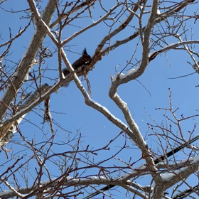 北の日常の画像