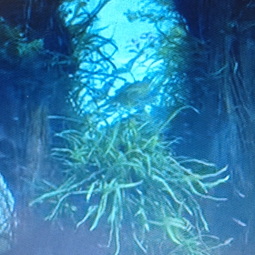 こんばんはの画像