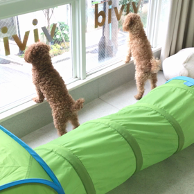 ♪プレイルーム動画♪①の画像