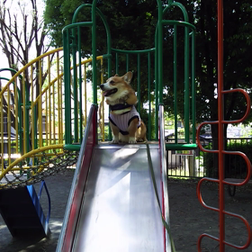 ジェトコースター・ロ マンスの画像