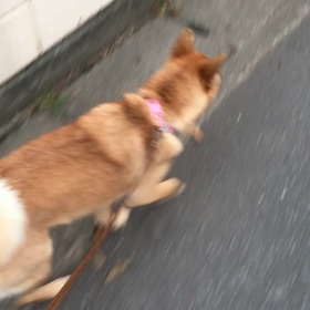 ケリ散歩56 ＊H2O＊の画像