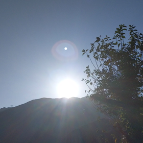 2021年パストリーゼ77在庫予想の画像