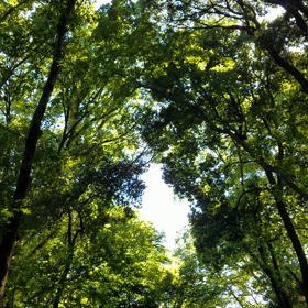 目まぐるしく過ぎる時間の中で…の画像