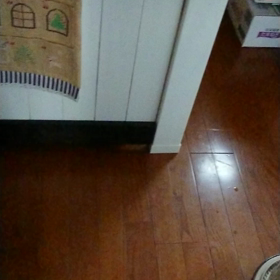 おやつ強奪事件Σ(゜Д゜)の画像