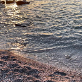 3ケ月ぶりの館山生活の画像
