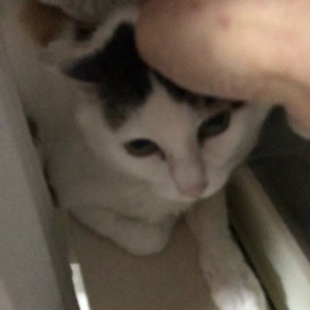 三咲との関係❤️の画像