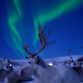 毎日感謝の画像