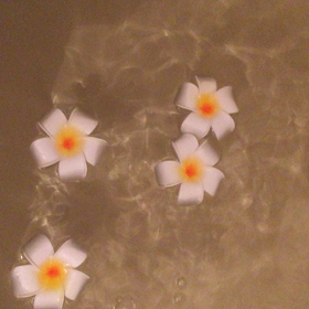 フラワーバス幸せな時間をの画像