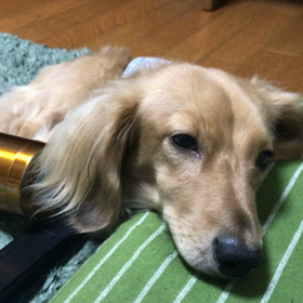 アキレス腱断裂233日目 リハビリ108日目の画像