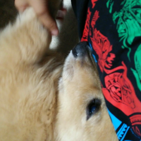 ひととき！の画像