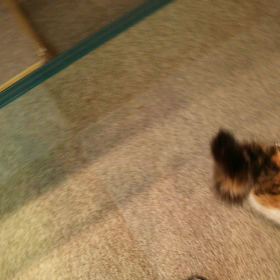 気分を変えて(^^)の画像