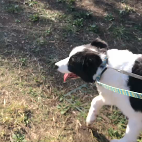 ♪お散歩動画♪代々木公園♪の画像