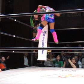 5月16日　PURE-J　花やしき大会　その8の画像