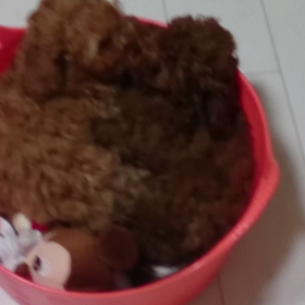 LoveLove♥の画像