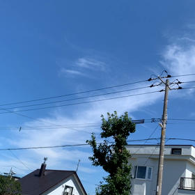 陽のあたる場所。の画像