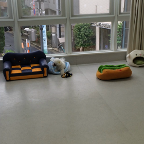 ♪プレイルーム動画♪の画像