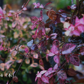 ☘️☕️☘️本日もお疲れ様でした☘️☕️☘️の画像