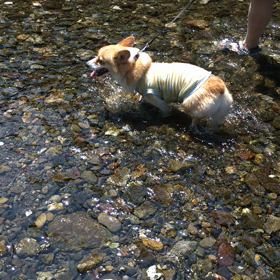 川遊びin巾着田2019の画像