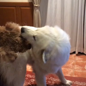 僕たち実はまいにち日曜です( ^ω^ )の画像