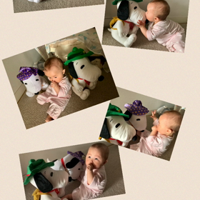 〜早朝より心晴れやかに〜の画像