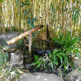 ただ ただ 眺めていたい（*^_^*）の画像