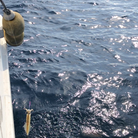 ラスト爆発！の画像