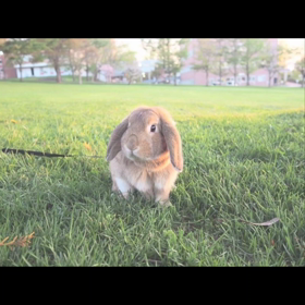 あと少し！の画像