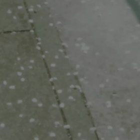 暖かな昼にの画像