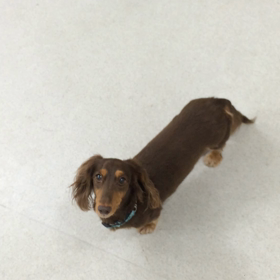 ♪プレイルーム動画♪①の画像