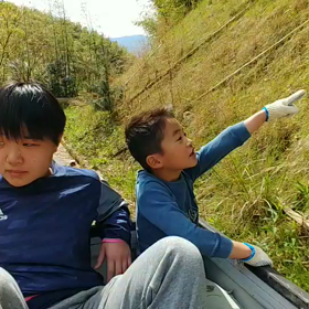 たけのこ〜の画像