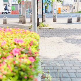 MODENIKA  natural M《モデニカ　ナチュラル　M》の画像