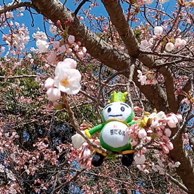 4/10の画像