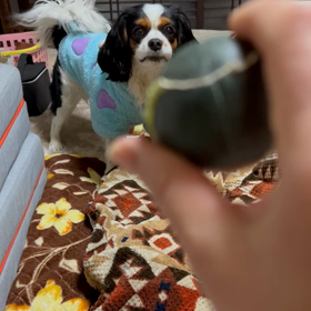 ボールキャッチ‼️⚾️の画像