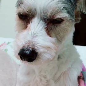 眠い、、、の画像