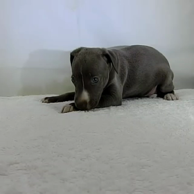 懐かしいの発見（　＾ω＾）の画像