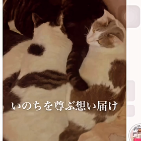 2024/01/09の画像