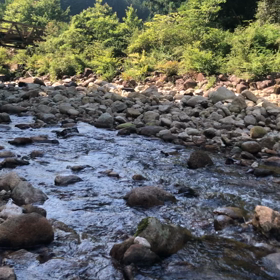 長女、テニス部　卒業。の画像