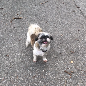 未満警察　第7話の画像