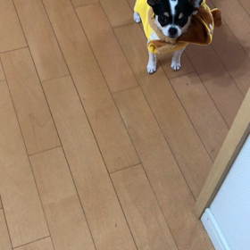 年賀状の練習の画像