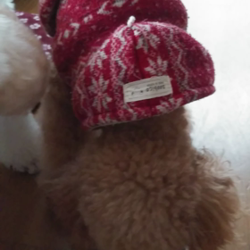 そらのお食事タイムの画像