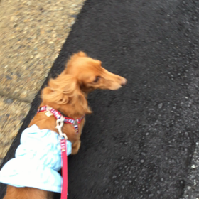 偉いぞ！の画像