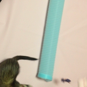 (๑• - •`๑)の画像