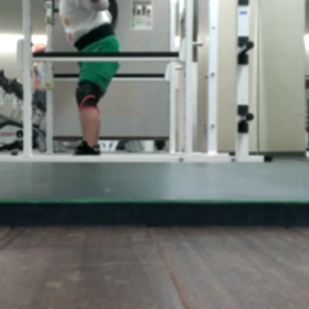 SQ、P③212.5の画像